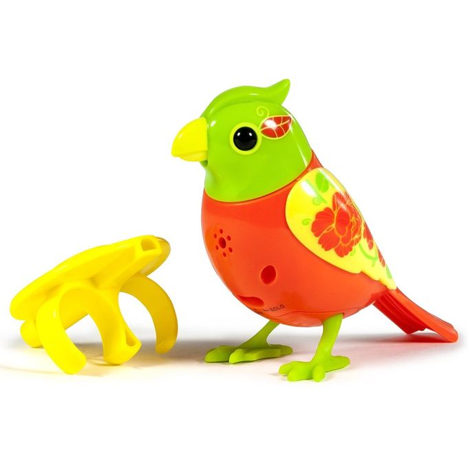 digibirds_laranja_verde_1 digibirds_laranja_verde_1