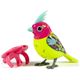 digibirds_verde_rosa_1 digibirds_verde_rosa_1