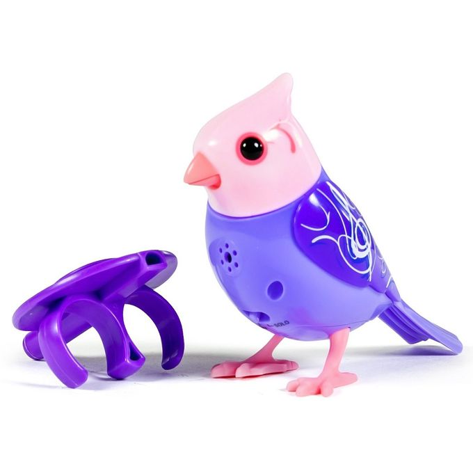 digibirds_roxo_rosa_1 digibirds_roxo_rosa_1