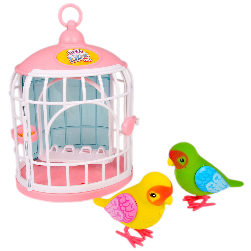 Passarinho Na Gaiola Brinquedo - FDPLEARN