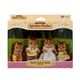 sylvanian_familia_esquilos_2 sylvanian_familia_esquilos_2