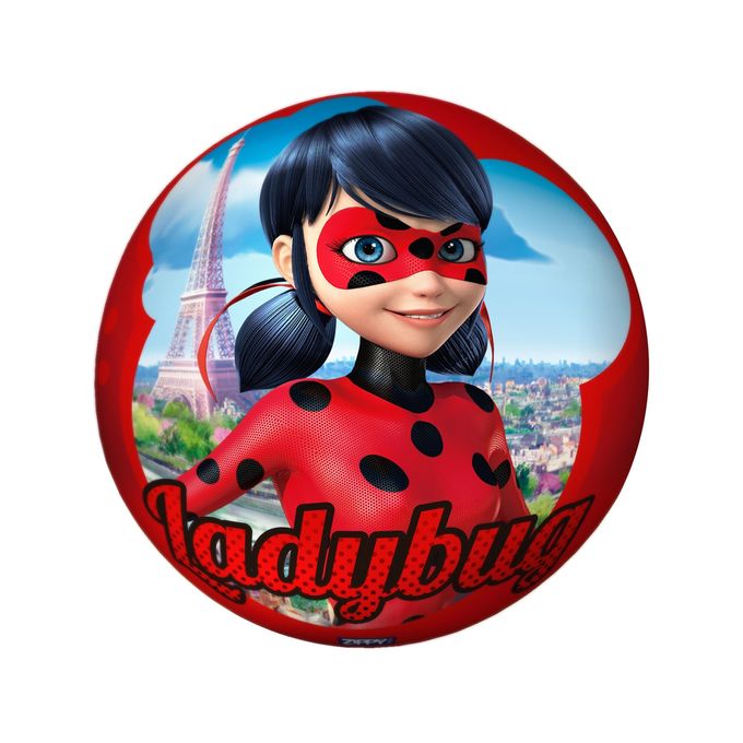 bola-de-vinil-ladybug-conteudo bola-de-vinil-ladybug-conteudo