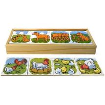 sequencia-logica-animais-jott-conteudo