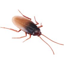 robo-alive-barata-conteudo