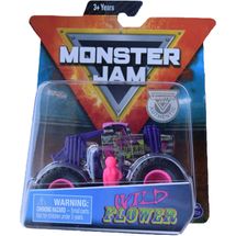 monster-jam-wild-embalagem