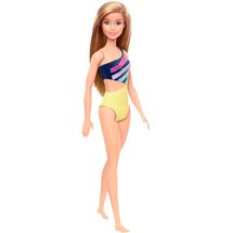 barbie-praia-ghw41-conteudo