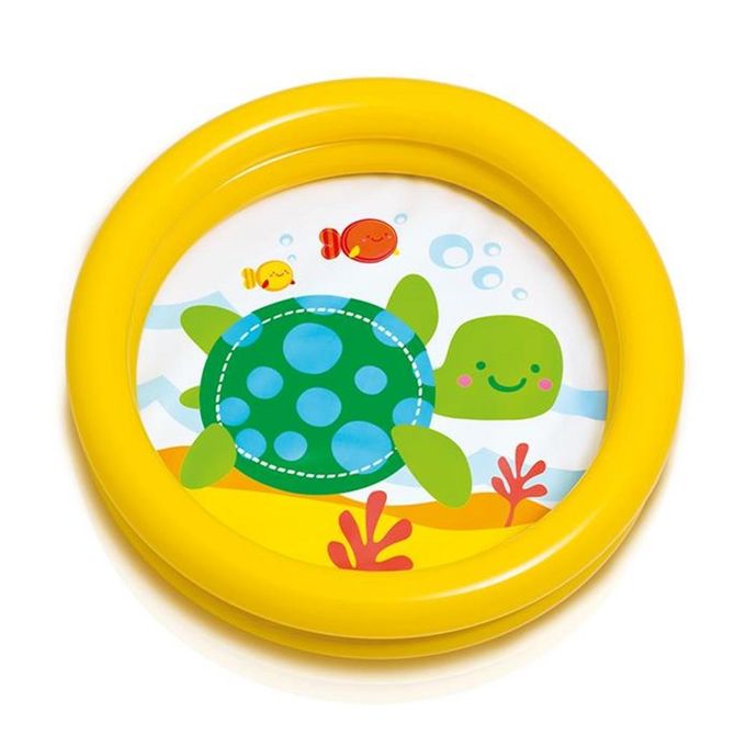 minha-primeira-piscina-tartaruga-conteudo