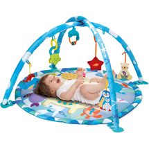 ginasio-festa-polar-conteudo