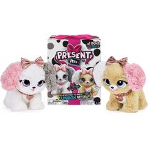 present-pets-conteudo