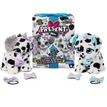 present-pets-dalmatas-conteudo
