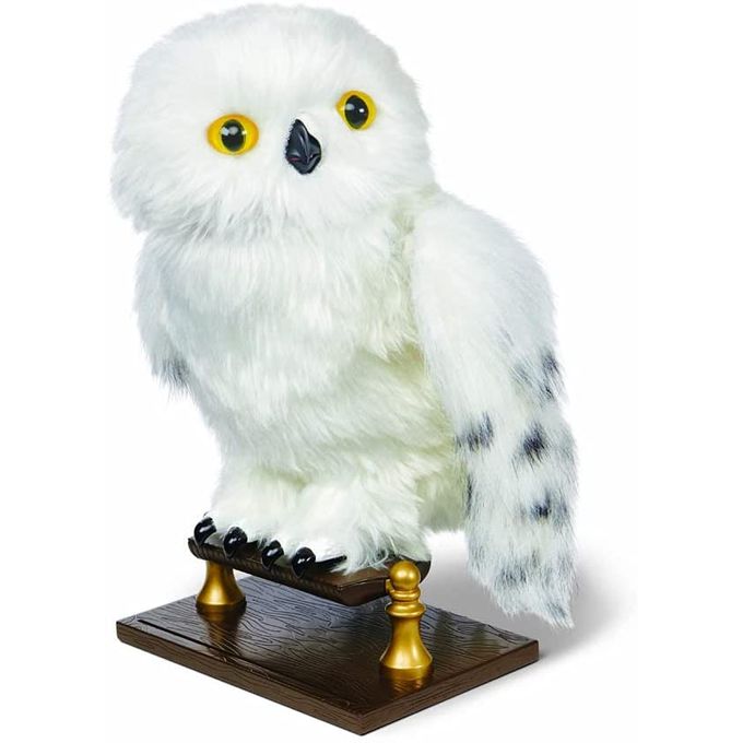 harry-potter-coruja-conteudo harry-potter-coruja-conteudo