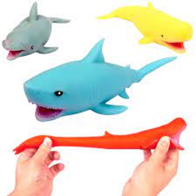 animais-marinhos-estica-conteudo animais-marinhos-estica-conteudo