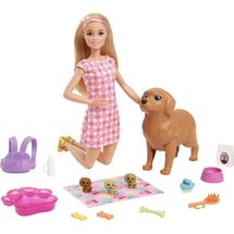 barbie-filhotinhos-hck75-conteudo