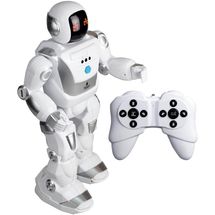 robo-program-a-bot-x-conteudo