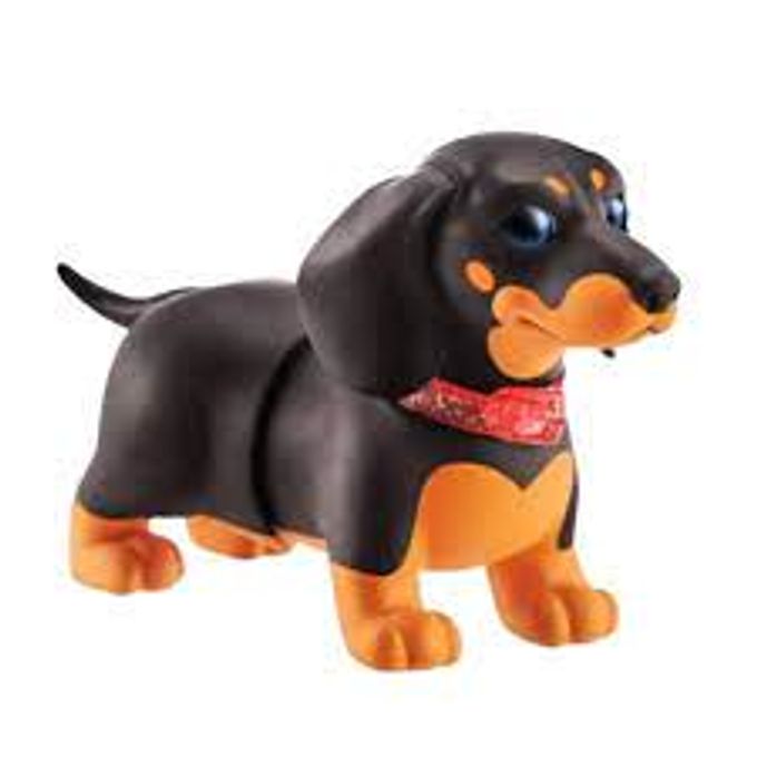 pets-alive-dachshund-conteudo pets-alive-dachshund-conteudo