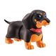 pets-alive-dachshund-conteudo