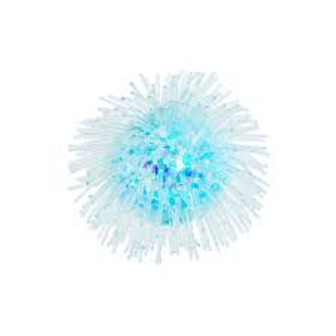 squeeze-flofys-do-mar-conteudo squeeze-flofys-do-mar-conteudo