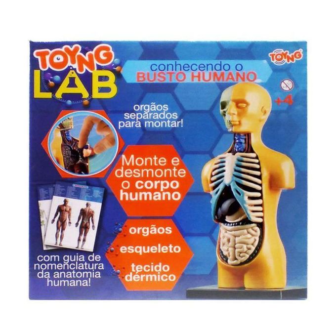 lab-busto-humano-embalagem lab-busto-humano-embalagem