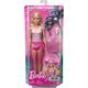 barbie-dia-de-praia-hpl73-embalagem