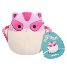 squishmallows-brixton-conteudo