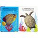 livro-animais-marinhos-conteudo