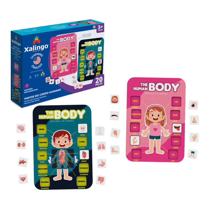 partes-do-corpo-humano-conteudo partes-do-corpo-humano-conteudo