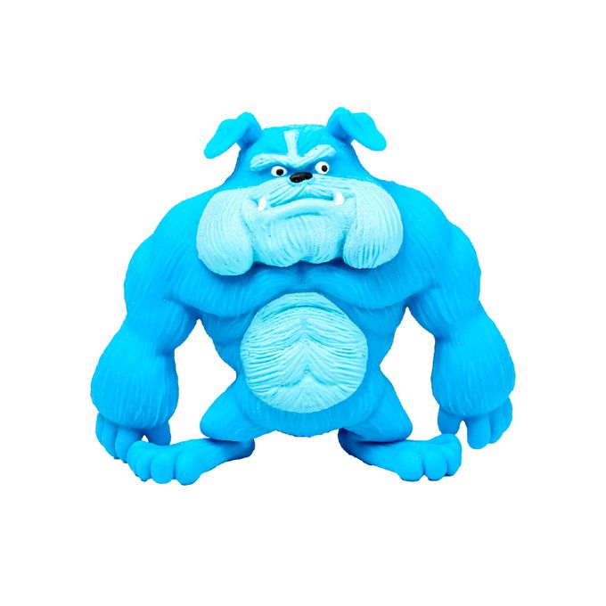 dog-stretch-conteudo dog-stretch-conteudo