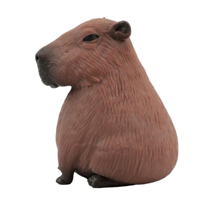 capivara-divertida-estica-conteudo