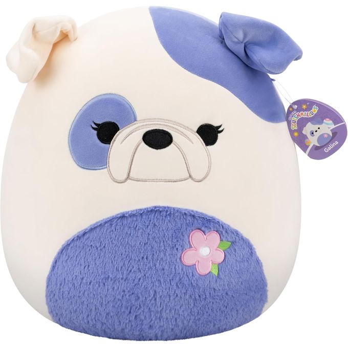 gallina1.jpg gallina1.jpg