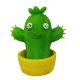 cacto1.webp