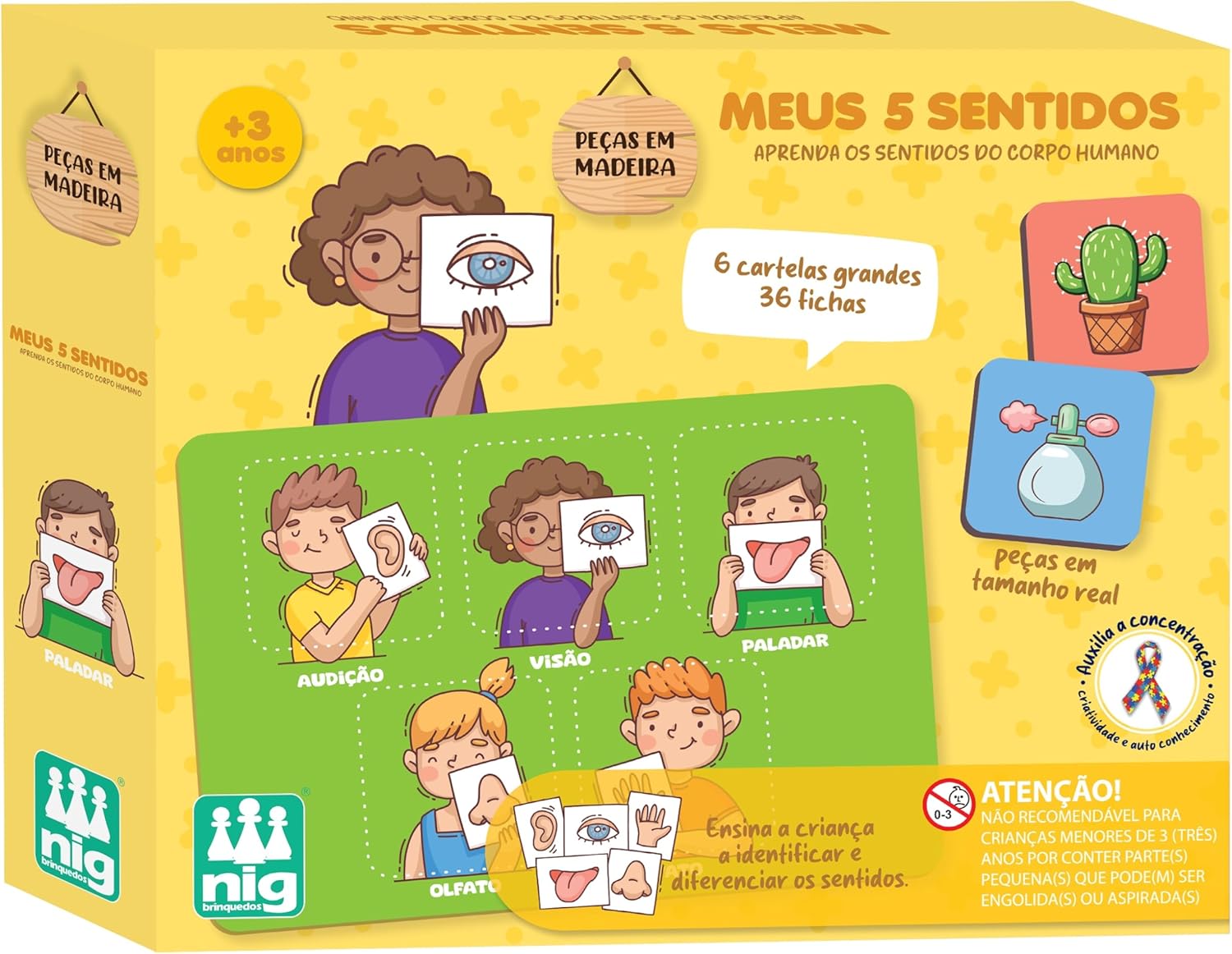 Meus 5 Sentidos - Nig