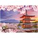 04921_GROW_QC1000_Mini_Monte_Fuji_Mapa