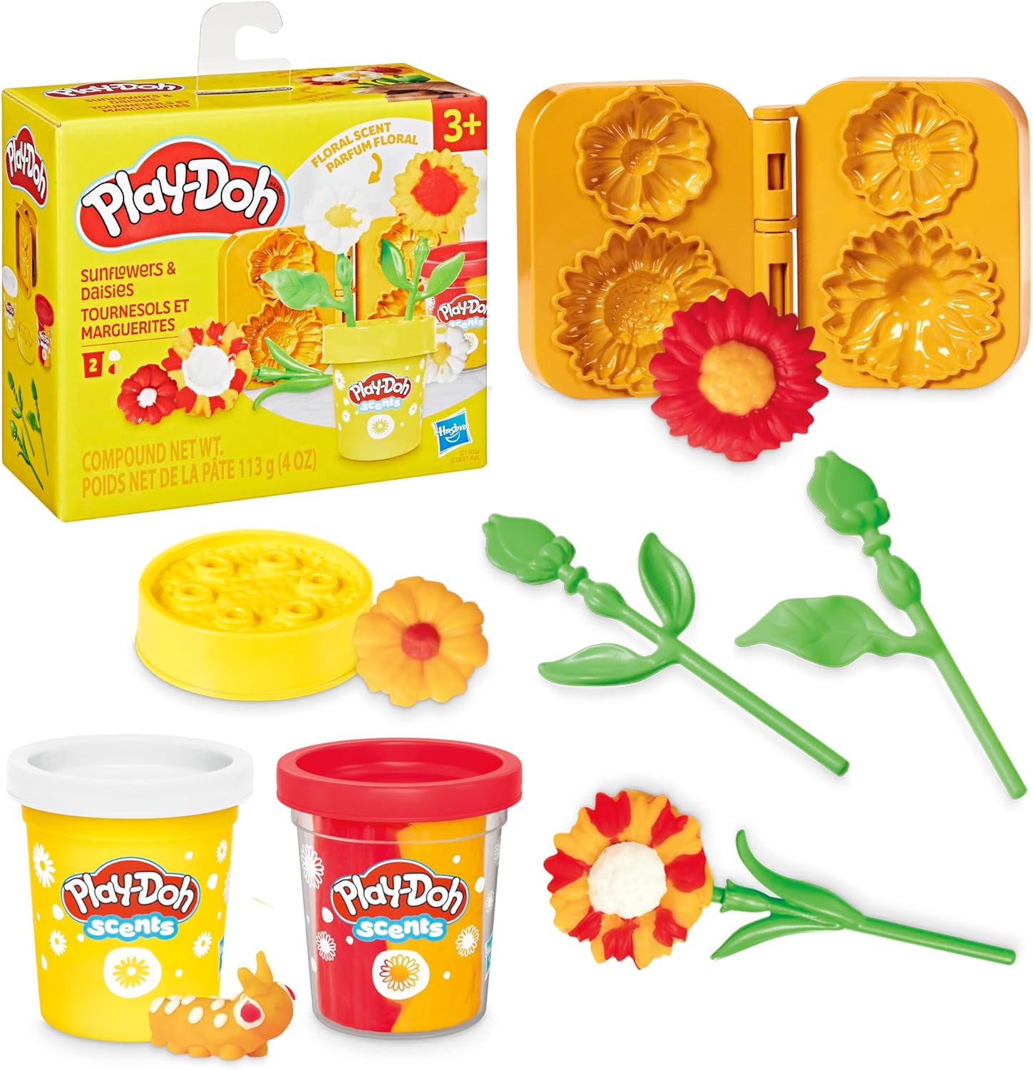 Massinha Play-Doh - Girassóis e Margaridas G2479 - Hasbro