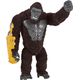 kong1