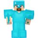 steve1.jpg