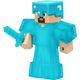 steve2.jpg