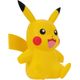pika4