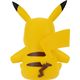 pika3