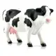 vaca8