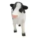 vaca5