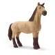 cavalo3