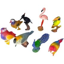 birds1