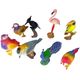 birds1